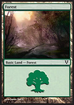 Forest (V.1) - Avacyn Restored (Land) [AVR-242]