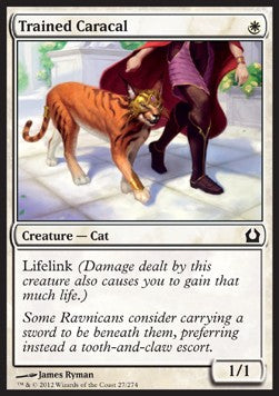 Trained Caracal - Return to Ravnica (Common) [RTR-27]