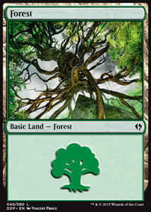 Forest (V.3) - Duel Decks: Zendikar vs. Eldrazi (Land) [DDP-40]