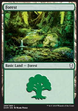Forest (V.4) - Dominaria (Land) [DOM-269]