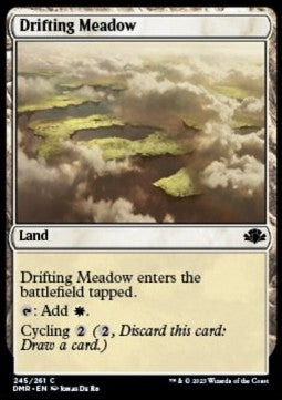 Drifting Meadow - Dominaria Remastered (Common) [DMR-245]