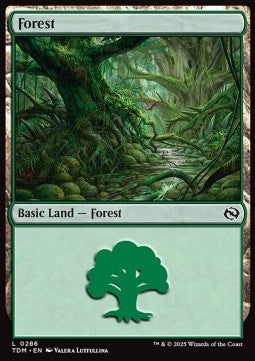 Forest (V.3) - Tarkir: Dragonstorm (Land) [TDM-286]
